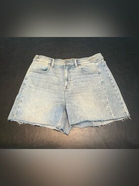 Studio Blue Light Blue Raw-Hem Denim Shorts size 30